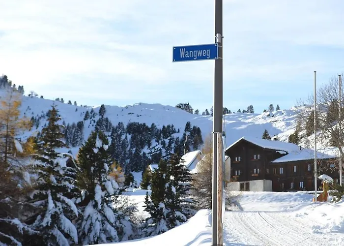 Hirschfluh Duplex Apartment Riederalp